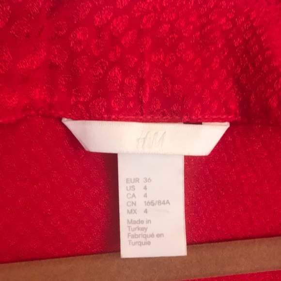 H&M Red Silky Dress - Picture 8 of 9